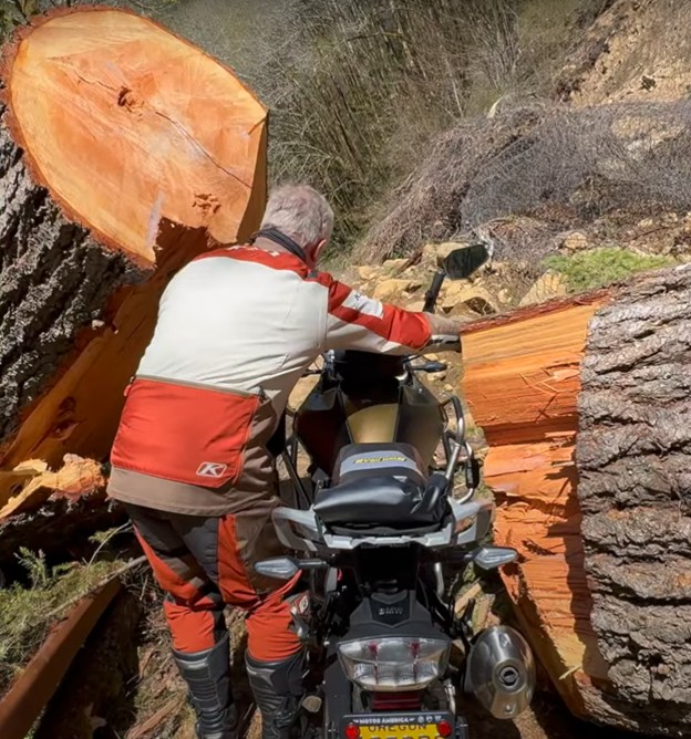 Rider navigating narrow trail with fallen trees while wearing helmet