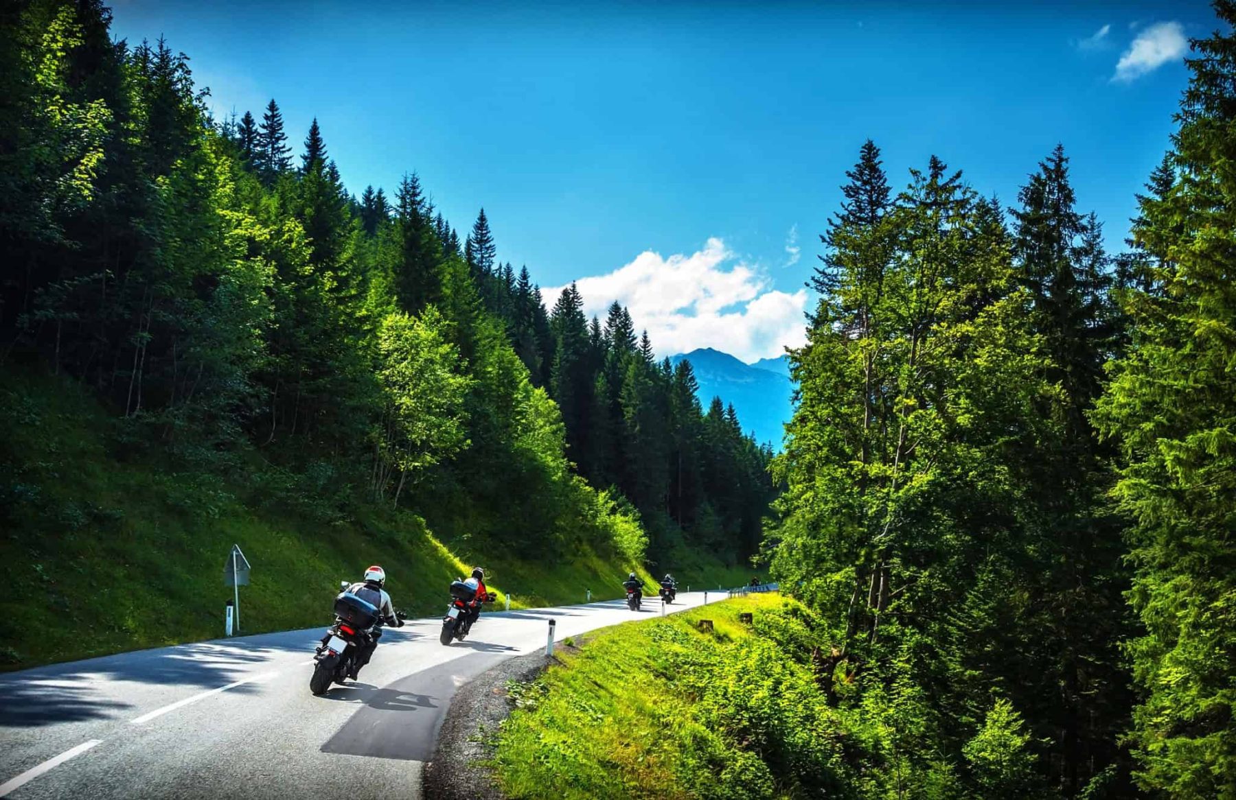 Motorcyclists cruising through scenic Alpine forest roads on a clear summer day