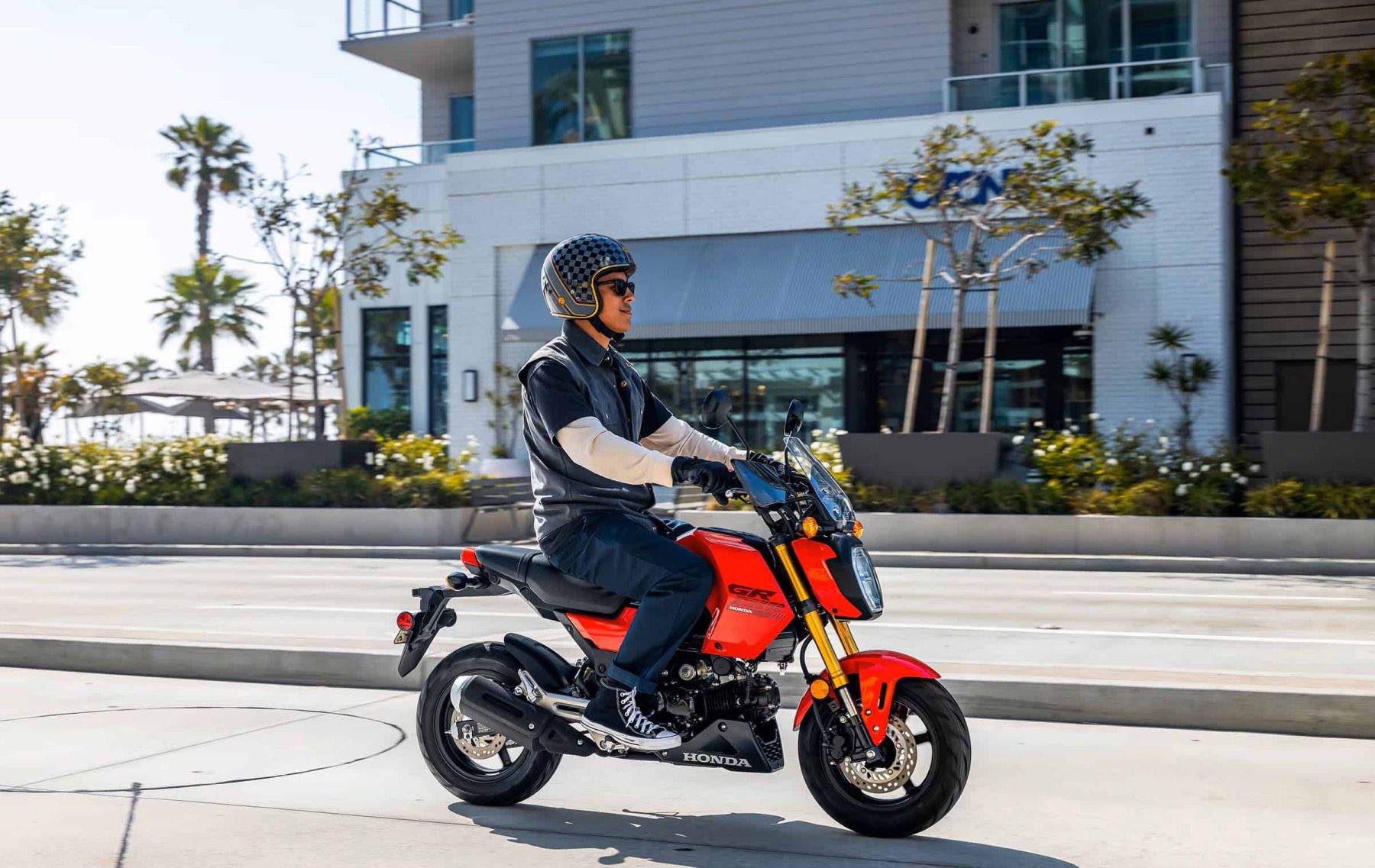 Rider cruising on a red Honda Grom motorcycle through a sunny city street lined with palm trees