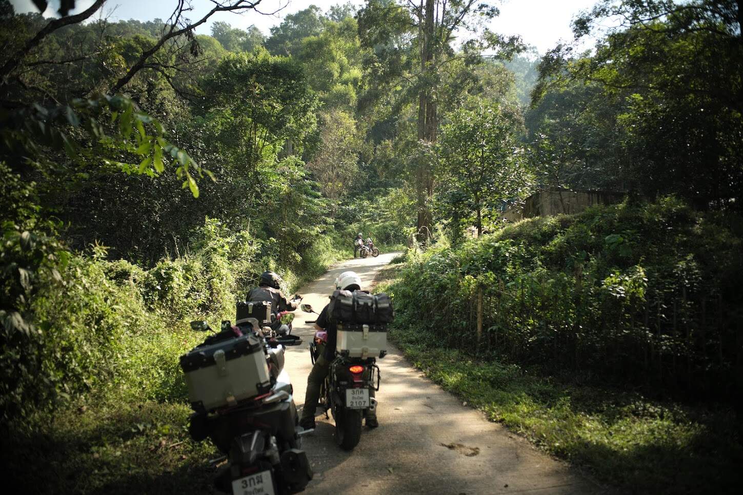 Adventure riders touring remote backroads with luggage-loaded motorcycles surrounded by forest